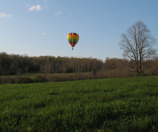 Steve Bliss' Balloon