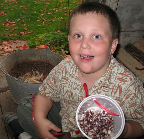 Frankie shells the beans he picked.