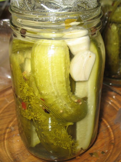 Half-sour pickles getting ready to ferment