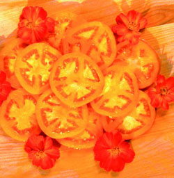 Moonglow Heirloom Tomato