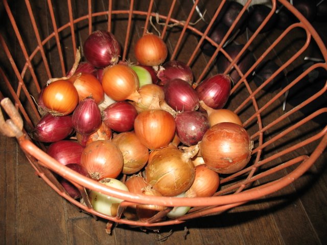 Basket of onions.