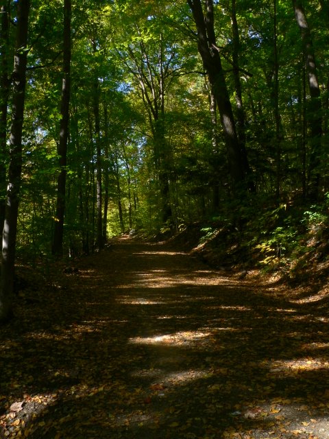 Path in Wantastiquet State Natural Area