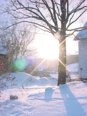 Snow in the afternoon sun